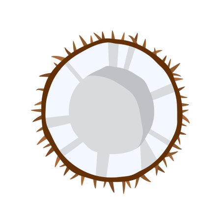 Coconut icon isolated on white background. cartoon style. vector illustrationのイラスト素材