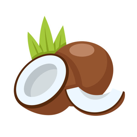 Coconut icon isolated on white background. cartoon style. vector illustrationのイラスト素材