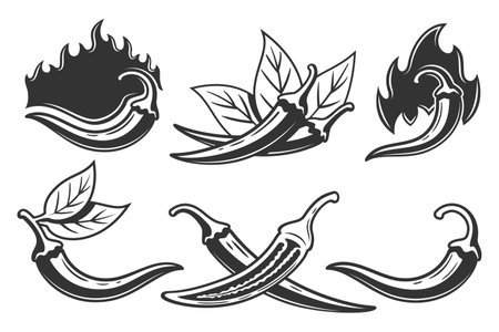 Chili pepper icons set isolated on white background. vector illustrationのイラスト素材