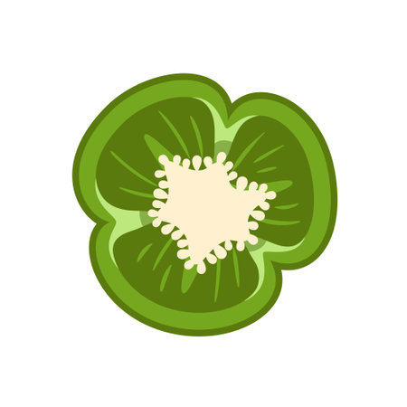 Sweet green bell pepper isolated on white background. Bell pepper in cartoon style. vector illustrationのイラスト素材