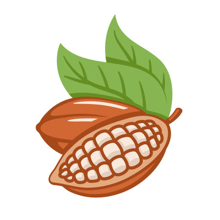 Cocoa beans isolated on white background. logo template. Cacao beans. design elements. vector illustrationのイラスト素材