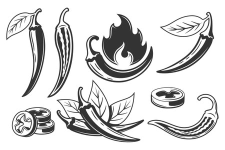 Chili pepper icons set isolated on white background. vector illustrationのイラスト素材