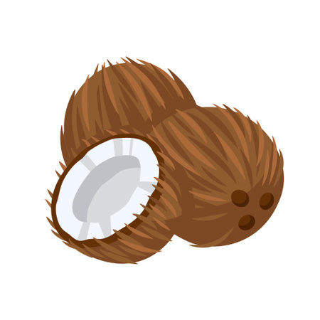 Coconut icon isolated on white background. cartoon style. vector illustrationのイラスト素材