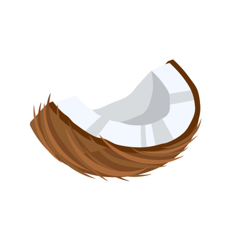 Coconut icon isolated on white background. cartoon style. vector illustrationのイラスト素材