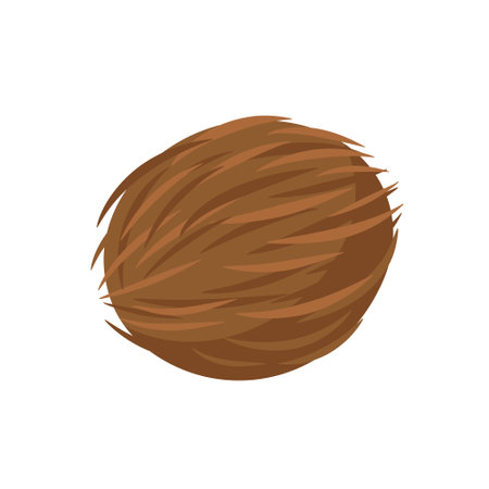 Coconut icon isolated on white background. cartoon style. vector illustrationのイラスト素材
