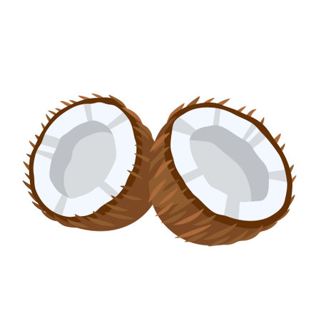 Coconut icon isolated on white background. cartoon style. vector illustrationのイラスト素材