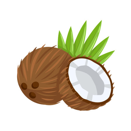 Coconut icon isolated on white background. cartoon style. vector illustrationのイラスト素材
