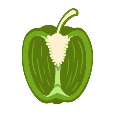 Sweet green bell pepper isolated on white background. Bell pepper in cartoon style. vector illustrationのイラスト素材