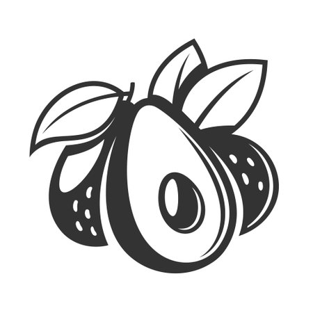Vintage avocado icon isolated on white background. vector illustrationのイラスト素材