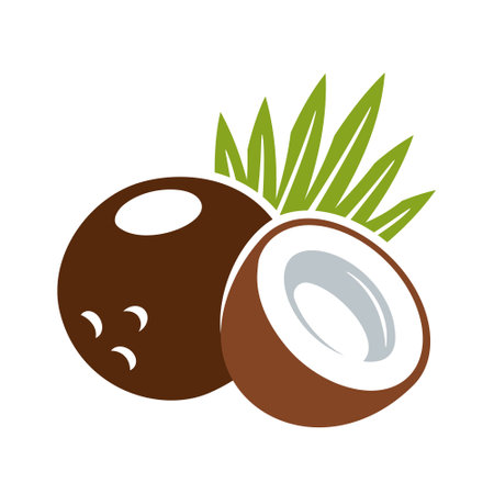 Coconut icon isolated on white background. cartoon style. vector illustrationのイラスト素材