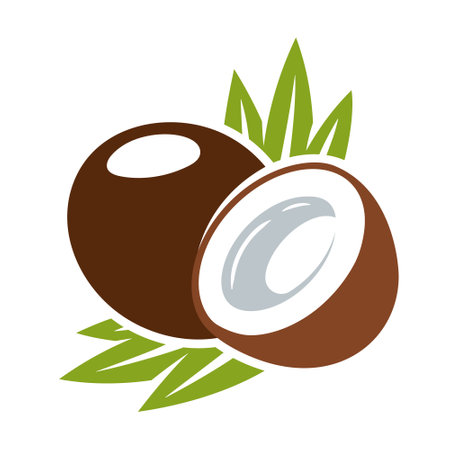 Coconut icon isolated on white background. cartoon style. vector illustrationのイラスト素材