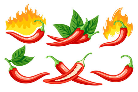 Set of red chili peppers in cartoon style isolated on white background. Hot chili peppers cooking food. vector illustrationのイラスト素材