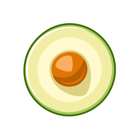 Green avocado icon isolated on white background. vector illustrationのイラスト素材