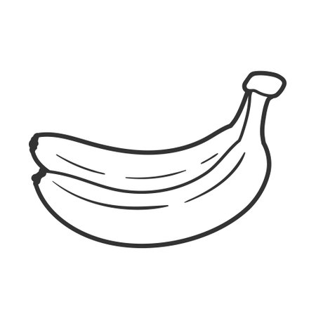 Line art banana isolated on white background. one line style. vector illustrationのイラスト素材