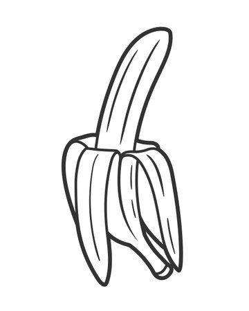 Line art banana isolated on white background. one line style. vector illustrationのイラスト素材