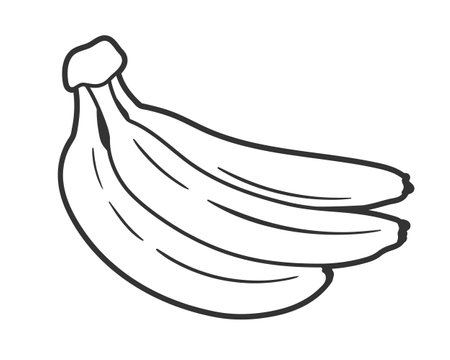 Line art banana isolated on white background. one line style. vector illustrationのイラスト素材