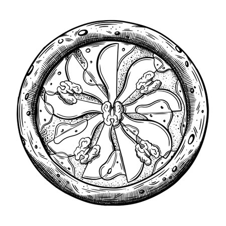 Sketch of pizza with pear isolated on white background. Pizza close-up view from the top. vector illustrationのイラスト素材