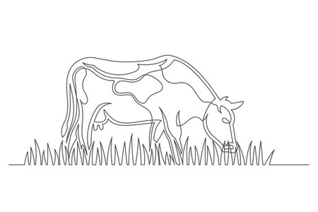 Continuous one line farm cow. Vintage farm cow isolated on a white background. farm concept. vector illustrationのイラスト素材