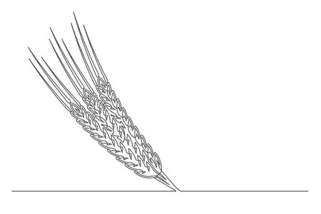 Continuous one line spikelet. Vintage spikelet isolated on a white background. Beer brewer concept. vector illustrationのイラスト素材