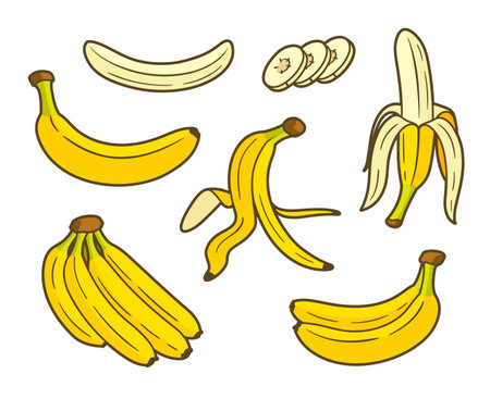 Set of yellow bananas flat isolated on white background. Cartoon style. Vector illustrationのイラスト素材