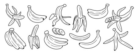 Set of line art of bananas isolated on white background. One line style. Vector illustrationのイラスト素材