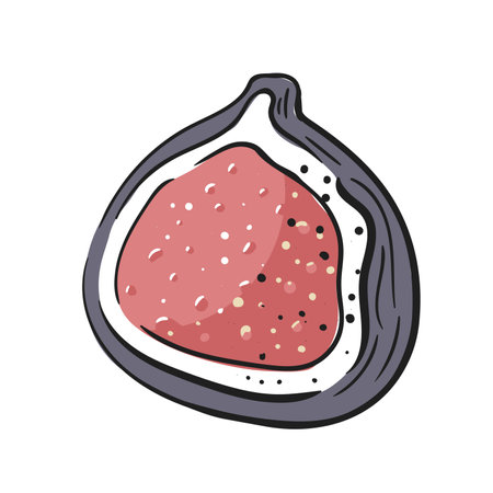 Cut fig isolated on white background. Fig icon in cartoon style. Vector illustrationのイラスト素材