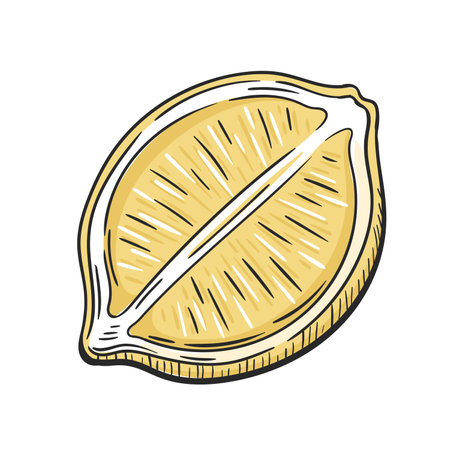 Half lemon isolated on white background. Yellow lemon icon in cartoon style. Vector illustrationのイラスト素材