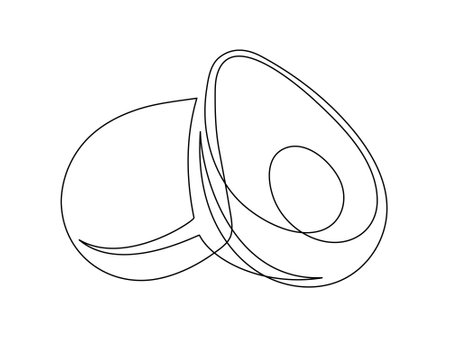 Several halves avocado line isolated on white background. Simple silhouette of fruit. Hand drawn outline of avocado. Vector illustrationのイラスト素材