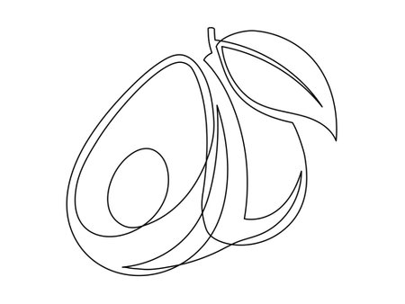 Line avocado with leaf isolated on white background. Simple silhouette of fruit. Hand drawn avocado outline. Vector illustrationのイラスト素材