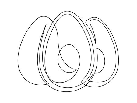 Several halves avocado line isolated on white background. Simple silhouette of fruit. Hand drawn outline of avocado. Vector illustrationのイラスト素材