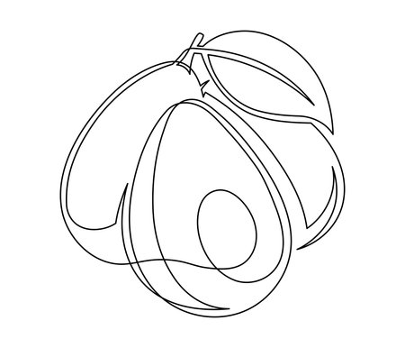 Line avocado with leaf isolated on white background. Simple silhouette of fruit. Hand drawn avocado outline. Vector illustrationのイラスト素材