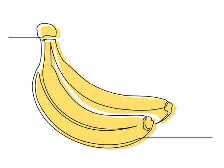 Continuous one line yellow banana bunch isolated on white background. Simple fruit silhouette. Hand drawn banana outline. Vector illustrationのイラスト素材