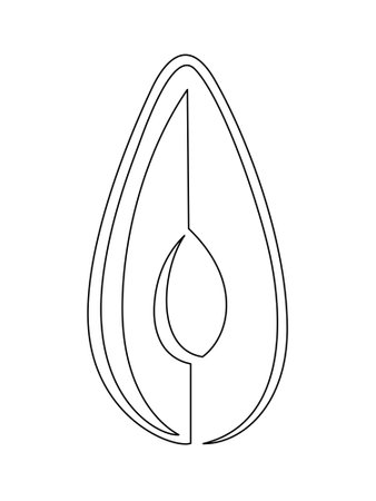 Halve avocado line isolated on white background. Simple silhouette of fruit. Hand drawn outline of avocado. Vector illustrationのイラスト素材