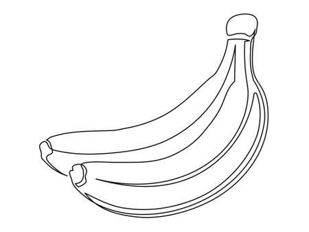 Banana branch line isolated on white background. Simple silhouette of fruit. Hand drawn banana outline. Vector illustrationのイラスト素材