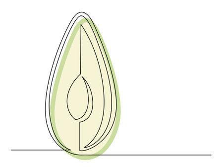 Continuous one line half of green avocado isolated on white background. Simple silhouette of fruit. Hand drawn outline of avocado. Vector illustrationのイラスト素材