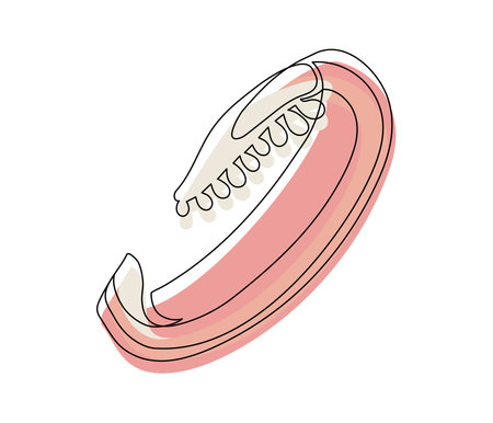 Sliced red bell pepper line isolated on white background. Simple silhouette of vegetable. Hand drawn red bell pepper outline. Vector illustrationのイラスト素材