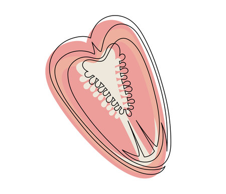 Sliced red bell pepper line isolated on white background. Simple silhouette of vegetable. Hand drawn red bell pepper outline. Vector illustrationのイラスト素材