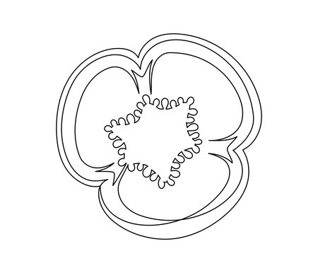 Sliced bell pepper line isolated on white background. Simple silhouette of vegetable. Hand drawn bell pepper outline. Vector illustrationのイラスト素材