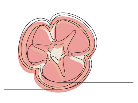 Continuous one line of sliced red bell pepper isolated on white background. Simple silhouette of vegetable. Hand drawn red bell pepper outline. Vector illustrationのイラスト素材