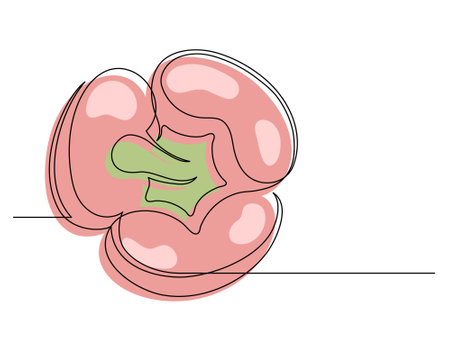 Continuous one line red bell pepper isolated on white background. Simple vegetable silhouette. Hand drawn bell pepper outline. Vector illustrationのイラスト素材