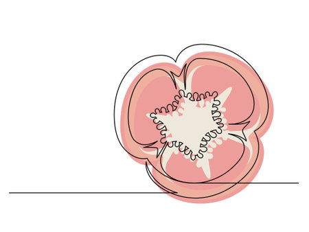 Continuous one line of sliced red bell pepper isolated on white background. Simple silhouette of vegetable. Hand drawn red bell pepper outline. Vector illustrationのイラスト素材