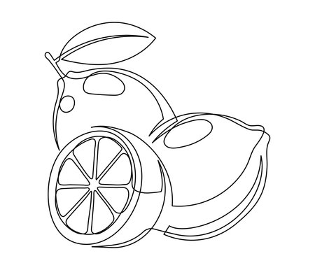 Whole and halves lemons with leaf isolated on white background. Simple citrus silhouette. Hand drawn lemon outline. Vector illustrationのイラスト素材