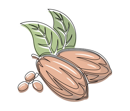 Brown cocoa beans branch with green leaves line isolated on white background. Simple silhouette of vegetable. Hand drawn cocoa beans branch outline. Vector illustrationのイラスト素材