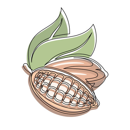 Brown cocoa beans branch with green leaves line isolated on white background. Simple silhouette of vegetable. Hand drawn cocoa beans branch outline. Vector illustrationのイラスト素材
