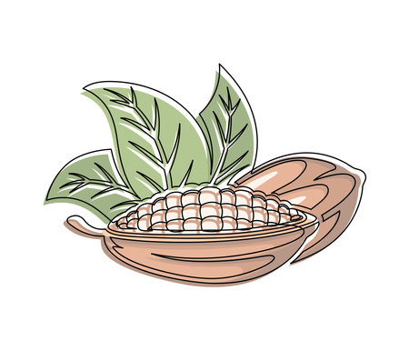 Brown cocoa beans branch with green leaves line isolated on white background. Simple silhouette of vegetable. Hand drawn cocoa beans branch outline. Vector illustrationのイラスト素材