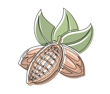 Brown cocoa beans branch with green leaves line isolated on white background. Simple silhouette of vegetable. Hand drawn cocoa beans branch outline. Vector illustrationのイラスト素材