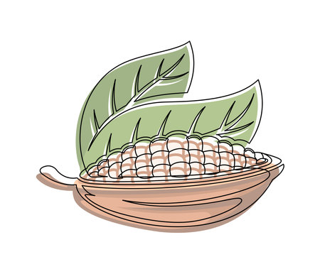 Brown cocoa beans branch with green leaves line isolated on white background. Simple silhouette of vegetable. Hand drawn cocoa beans branch outline. Vector illustrationのイラスト素材