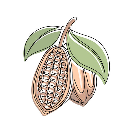 Brown cocoa beans branch with green leaves line isolated on white background. Simple silhouette of vegetable. Hand drawn cocoa beans branch outline. Vector illustrationのイラスト素材