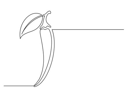 Continuous one line chili pepper with leaf isolated on white background. Simple vegetable silhouette. Hand drawn chili pepper outline. Vector illustrationのイラスト素材