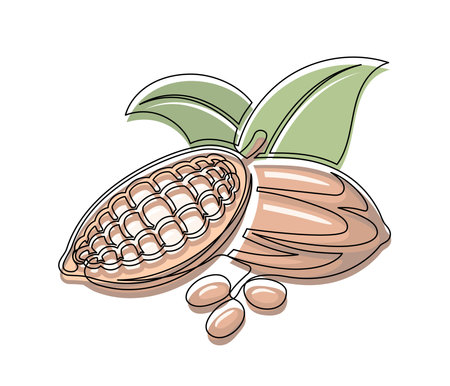 Brown cocoa beans branch with green leaves line isolated on white background. Simple silhouette of vegetable. Hand drawn cocoa beans branch outline. Vector illustrationのイラスト素材